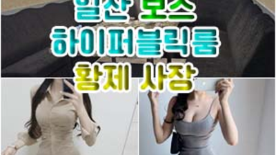 일산퍼블릭가라오케 오픈하는 서비스맨 꼭한번찾으세요 일산알리바바 일산바