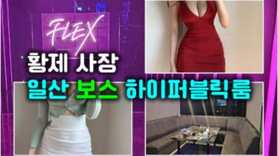 즐거움을 주는 일산퍼블릭 일등영업진 후회없을겁니다 일산알리바바가격 일산하이퍼블릭